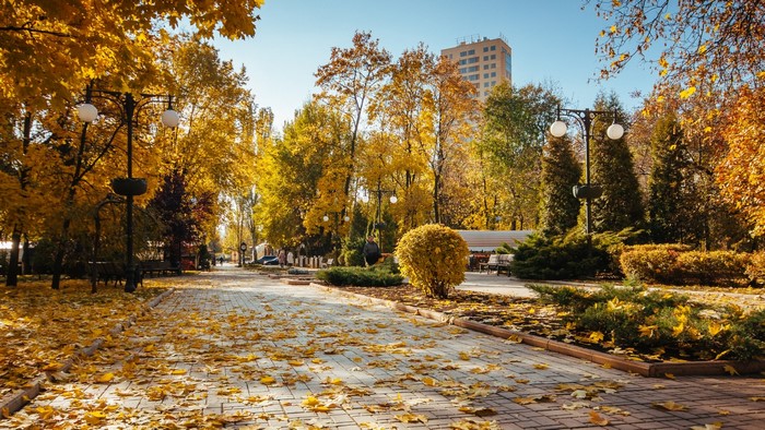 Autumn park with fallen leaves and a tall building