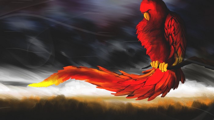4K Red Phoenix Artwork