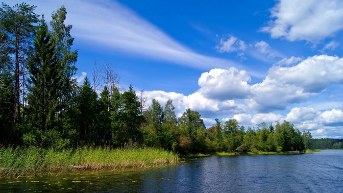 Summer lake with trees and blue sky