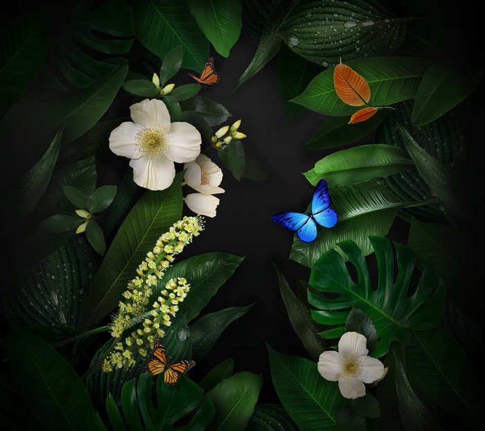 Butterflies and flowers among lush green leaves