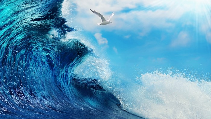 Seagull flying over a large ocean wave