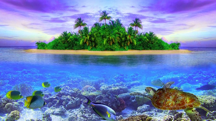 Island and underwater world with sea turtle and fish