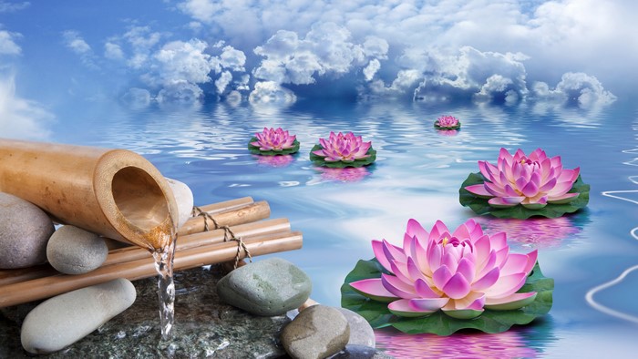4K Lotuses on Water with Bamboo Fountain