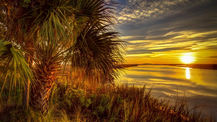 Sunset over a calm river with palm trees