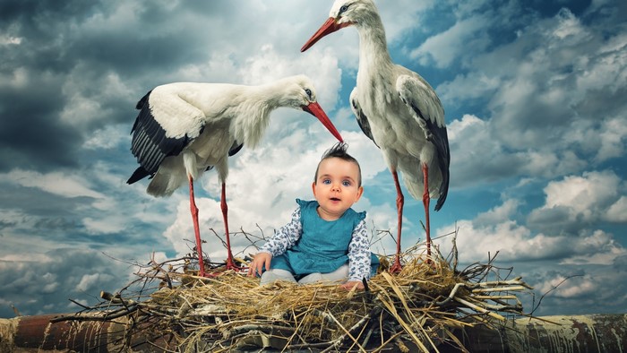 Baby in a nest with storks