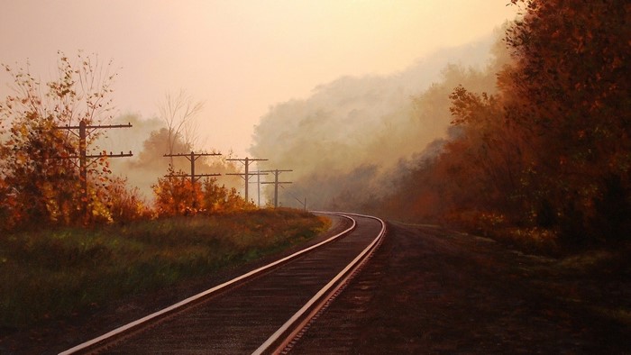 Autumn rail tracks with telephone poles