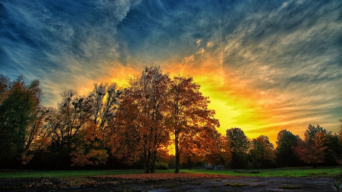Autumn Sunset Over Trees