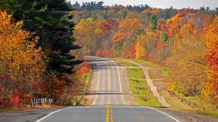 Autumn Country Road with Colorful Trees