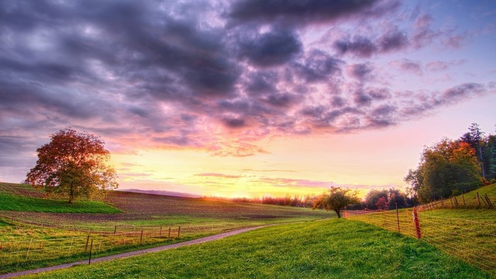 Sunset over rolling green hills with trees