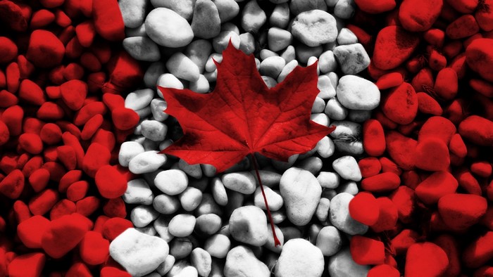 Canadian Maple Leaf on Red and White Rocks