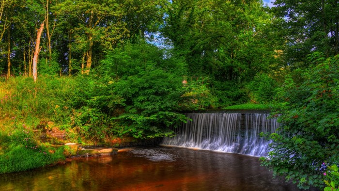 Waterfall in a lush green forest