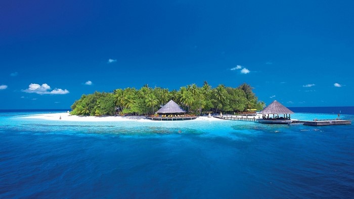 Tropical island resort with palm trees and clear blue water