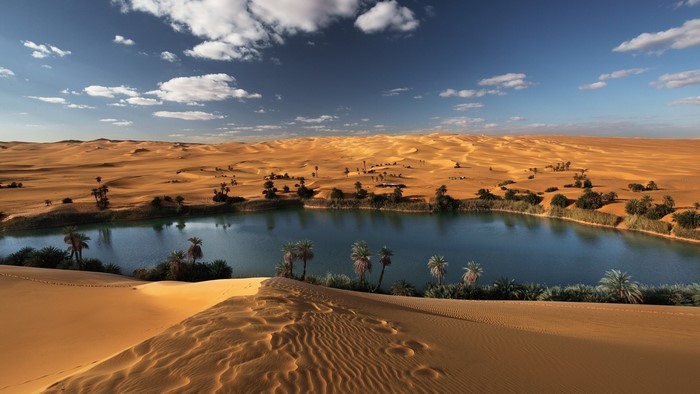 Desert oasis with palm trees and sand dunes