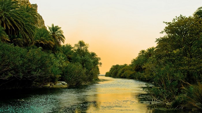River flowing through a palm-lined canyon at sunset