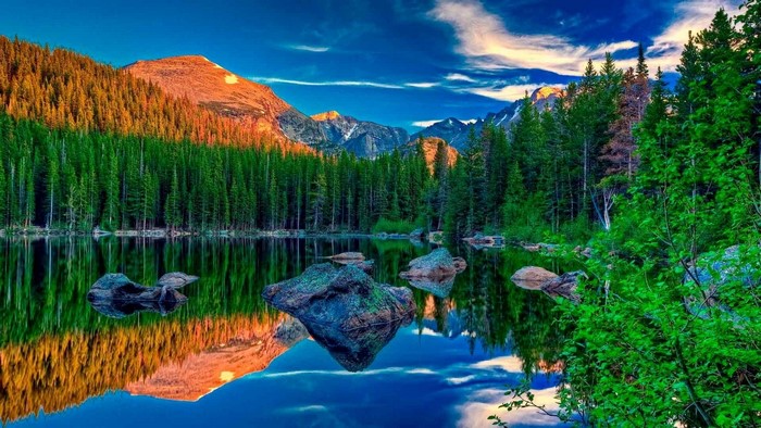 Mountain lake with forest reflection