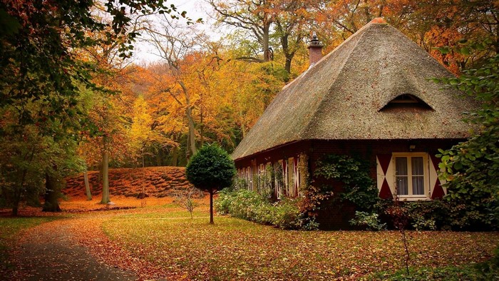Autumn Cottage in a Forest
