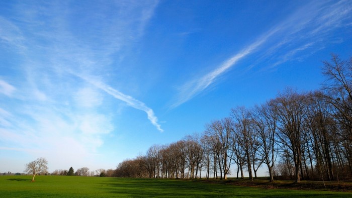 Blue sky with wispy clouds over a green field and trees
