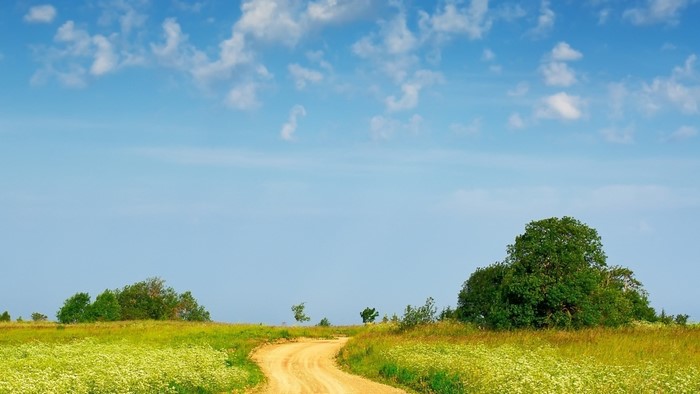 Dirt road through a field with trees and blue sky