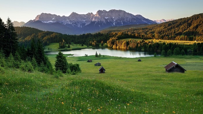 Alpine Meadow with Lake and Mountains