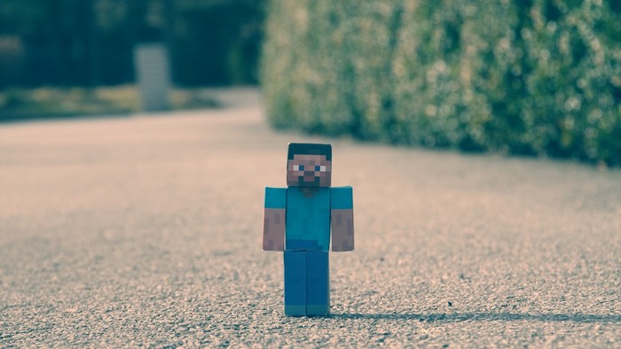Steve from Minecraft