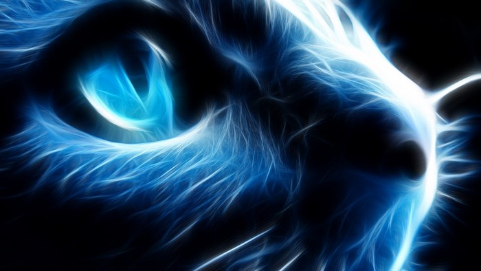 Abstract Blue Light Cat Art