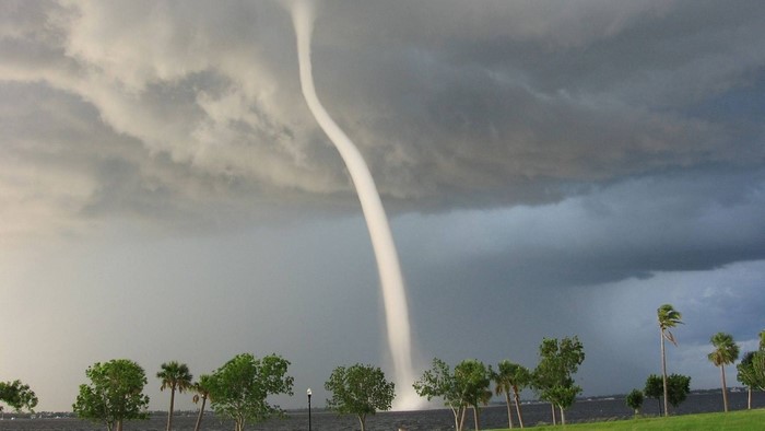 Tornado over water with palm trees