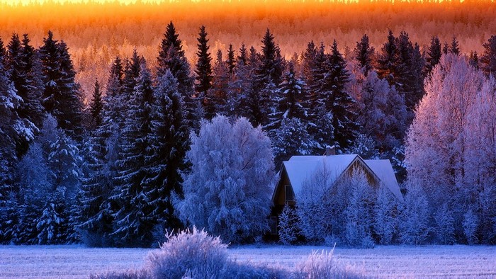 Winter cabin in snowy forest at sunset