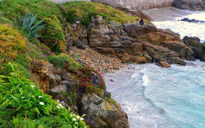 Rocky coastline with lush vegetation and ocean waves