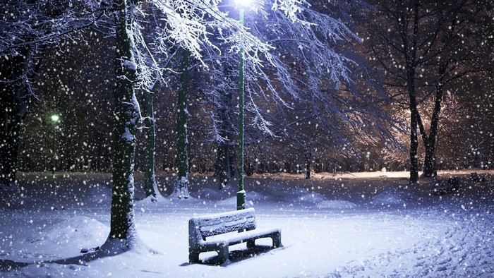 Winter Park Bench Under Snowfall