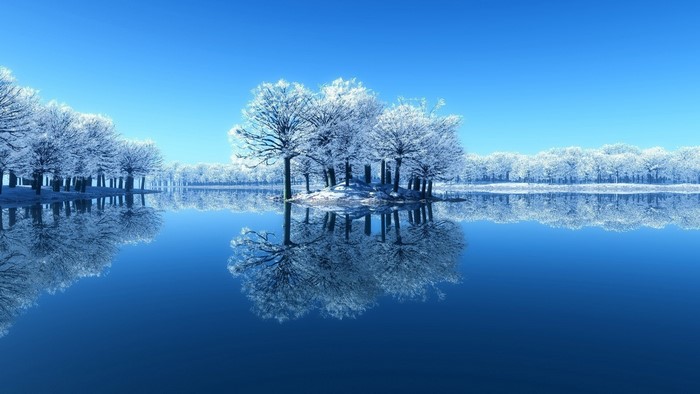 Winter lake with snow-covered trees and reflection