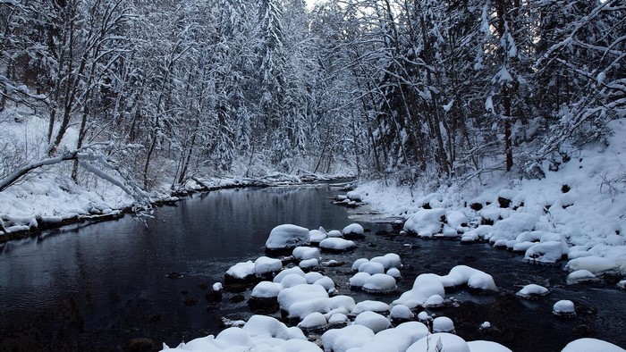Winter forest river with snow-covered trees