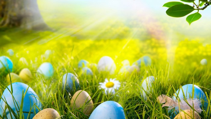 Easter Eggs in a Sunny Spring Meadow