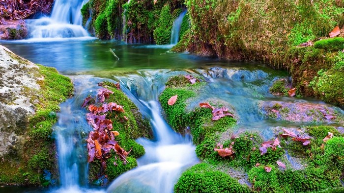 Spring Waterfall with Moss and Autumn Leaves