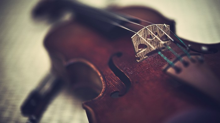 Close-up of a Violin Bridge and Strings