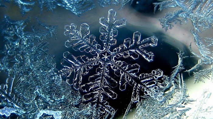 Close-up of a snowflake and ice crystals