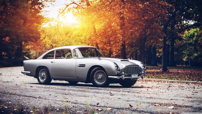 Vintage silver Aston Martin in autumn forest