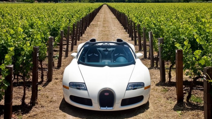 White Bugatti Veyron in a vineyard