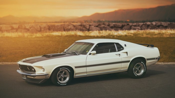 White Ford Mustang Fastback with Black Stripes