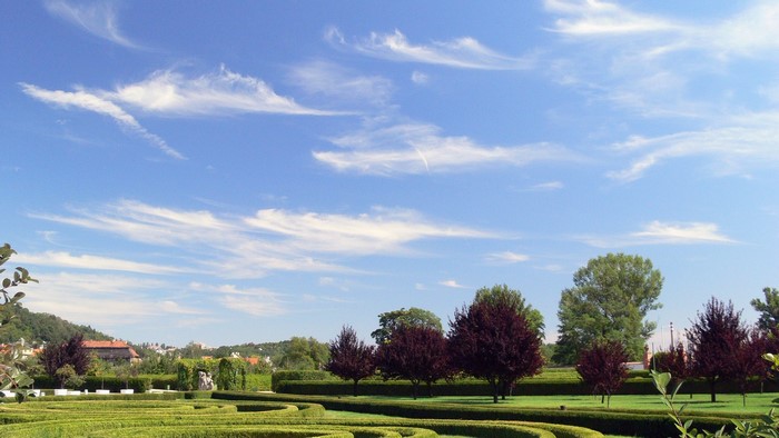 Formal garden with manicured hedges and trees under a blue sky with wispy clouds