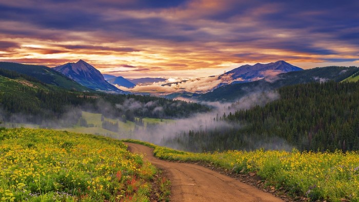 Mountain landscape with dirt road and wildflowers