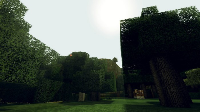 Minecraft forest with trees and grass