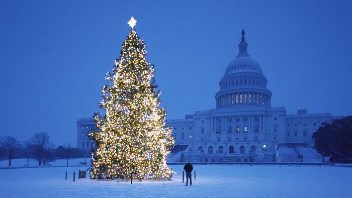 US Capitol Christmas Tree in Snow