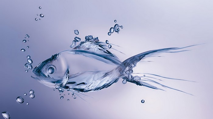 Fish made of water with bubbles