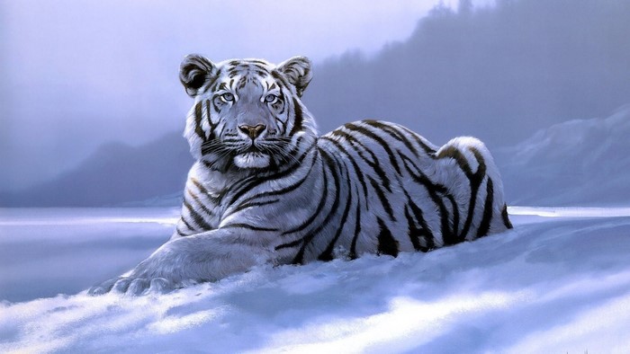 White Tiger in Snowy Landscape