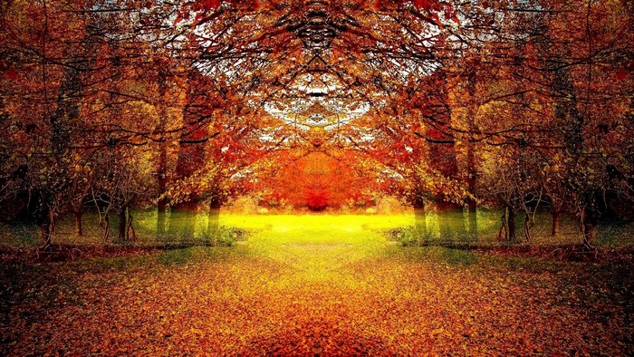 Autumn landscape with fallen leaves