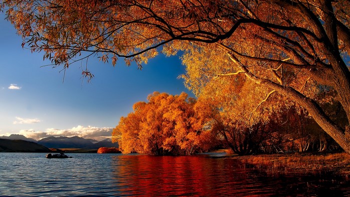 Autumn trees reflected in a lake with mountains