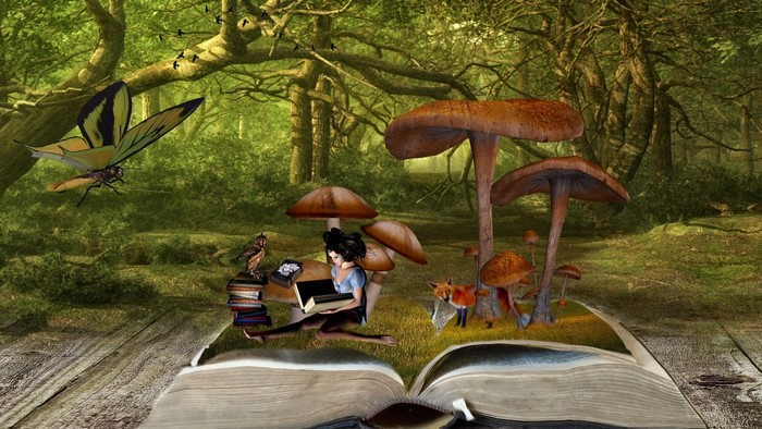 Fantasy forest scene with a girl reading a book