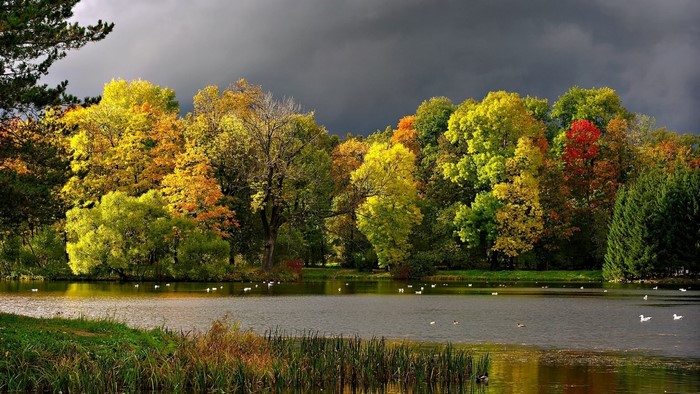 Autumn trees reflected in a lake under a stormy sky