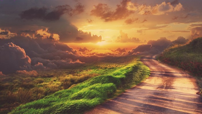 Road through grassy hills at sunset
