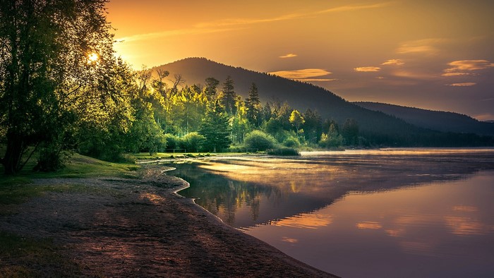 Lake and forest at sunrise